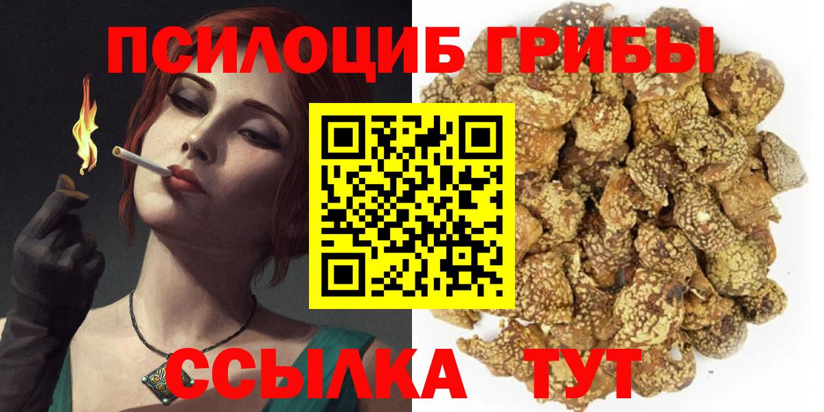 Галлюциногенные грибы Cubensis Кимры