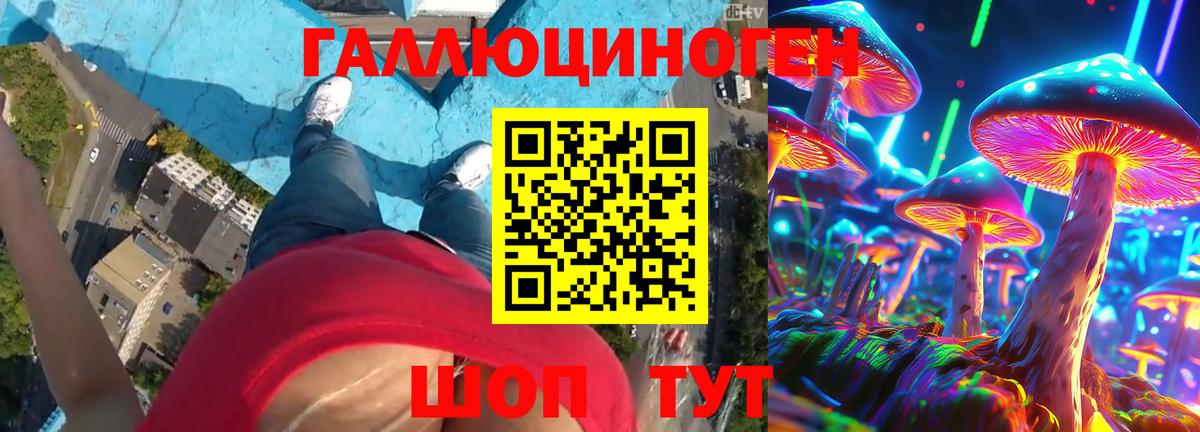 Кимры  Галлюциногенные грибы Magic Shrooms  Вход с VPN 